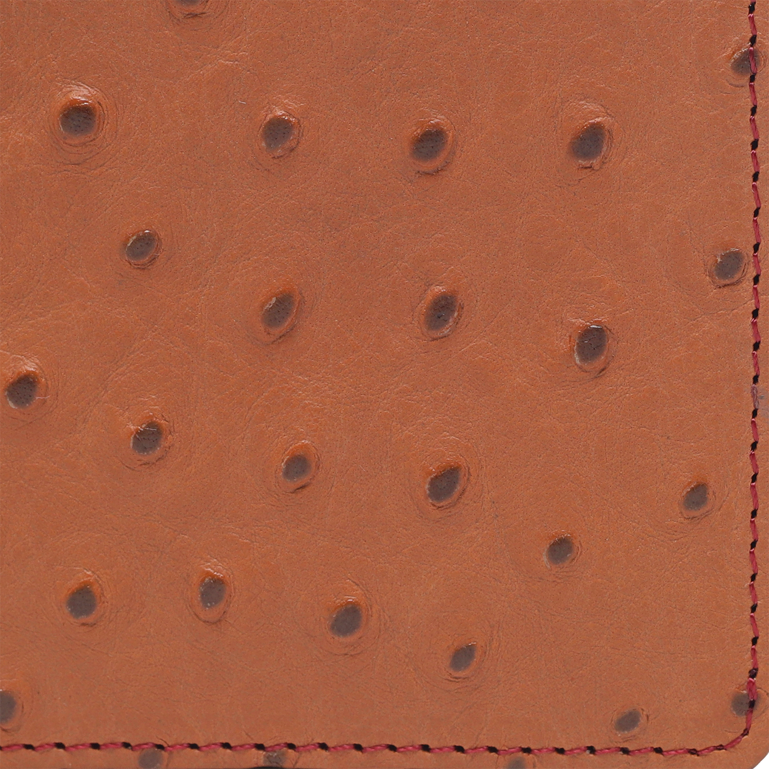 Ostrichos Mens Wallet